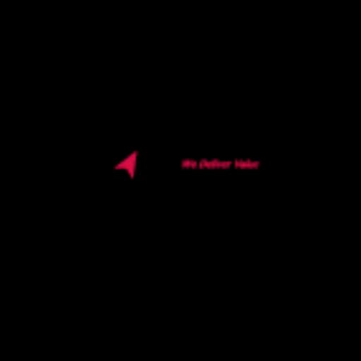 AION CARGO SOLUTIONS AUSTRALIA PTY LTD logo