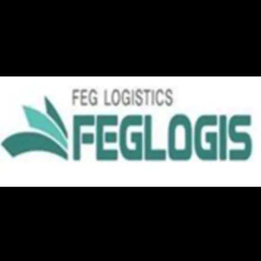 TIANJIN FEG LOGISTICS CO.,LTD. logo