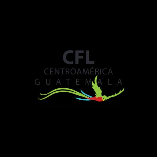 Customs, Freight And Logistics De Centro America, S.A. logo