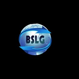 BLACK SEA LOGISTIC GLOBAL SRL logo
