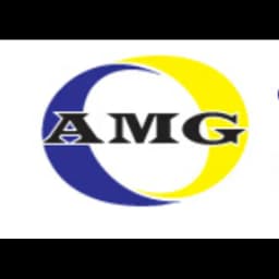 AMG Customs Solutions Inc logo