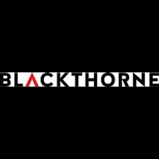 Pristina - Blackthorne LLC logo