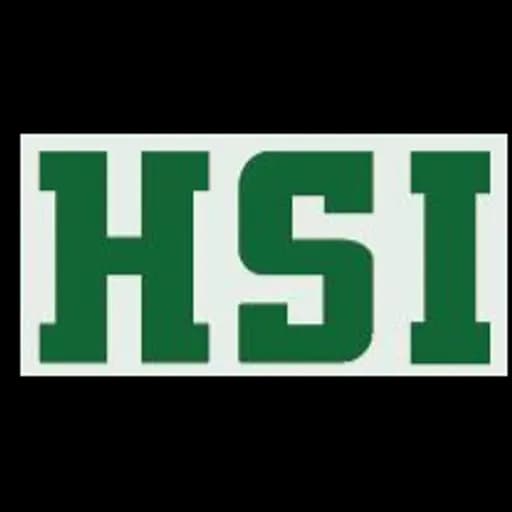 SHANGHAI HIGHSPEED INTERNATIONAL LOGISTICS CO.,LTD. logo