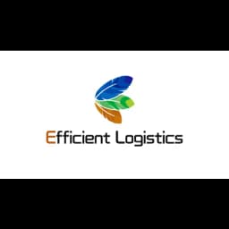 Shenzhen Efficient International Logistics Co.,Ltd. logo