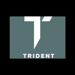 TRIDENT GLOBAL LOGISTICS LIMITED logo