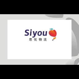 NINGBO SIYOU INTERNATIONAL LOGISTICS CO.,LTD logo