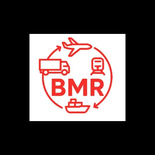 BMR PROFESSIONAL MANAGEMENT SRL logo