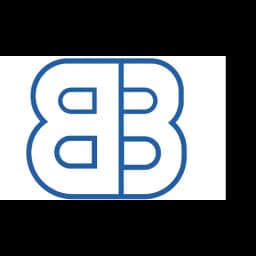 SHANGHAI BRAVE BEYOND INTERNATIONAL LOGISTICS CO.,LTD. logo