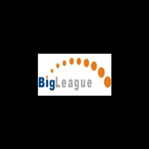 SHENZHEN BIGLEAGUE SUPPLY CHAIN CO.,LTD logo