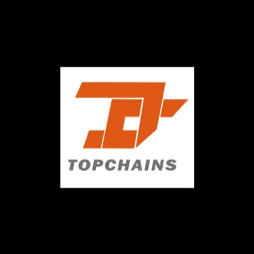 Shenzhen Topchains International Logistics Co., Ltd. logo