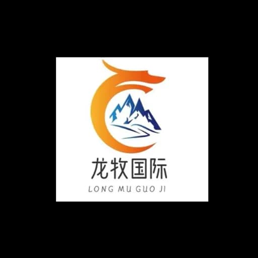 Shanghai Longmu International Logistics Co., Ltd. logo