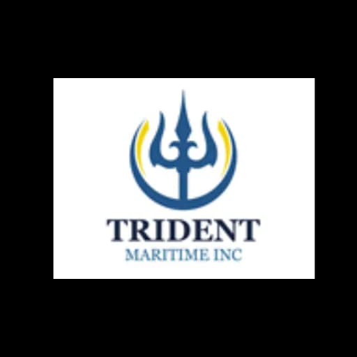 TRIDENT MARITIME INC logo