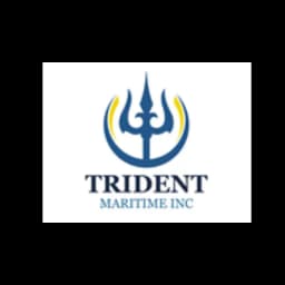 TRIDENT MARITIME INC logo
