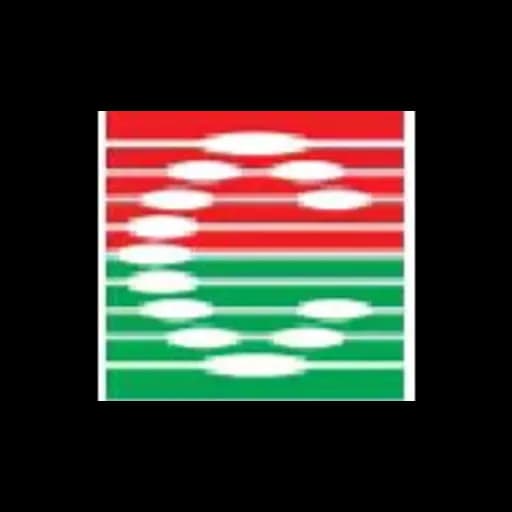 Shanghai Channel international Logistics Co., Ltd. logo