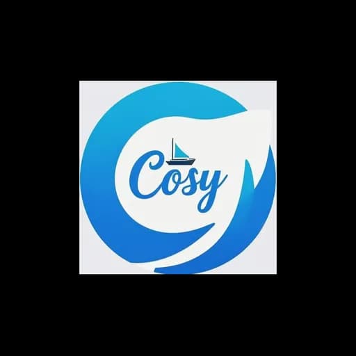 Shenzhen Cosy International Logistics Co., Ltd. logo