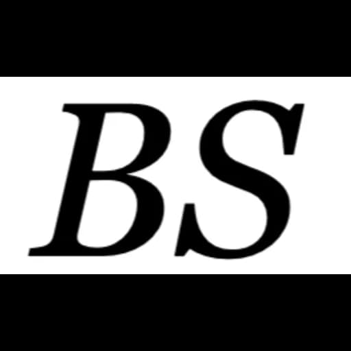 Best Sea Shipping International Co., LTD logo