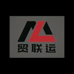 Shenzhen Trade Union International Logistics Co., LTD logo