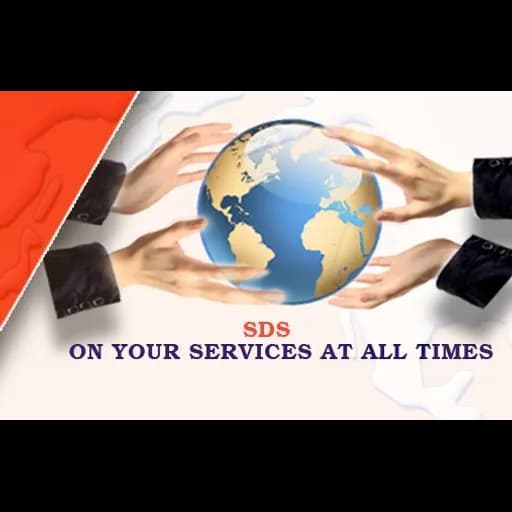 SDS OVERSEAS LOGISTICS logo