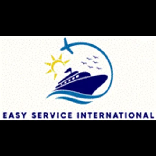 Easy Services International logo