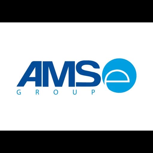 AMS e Group logo