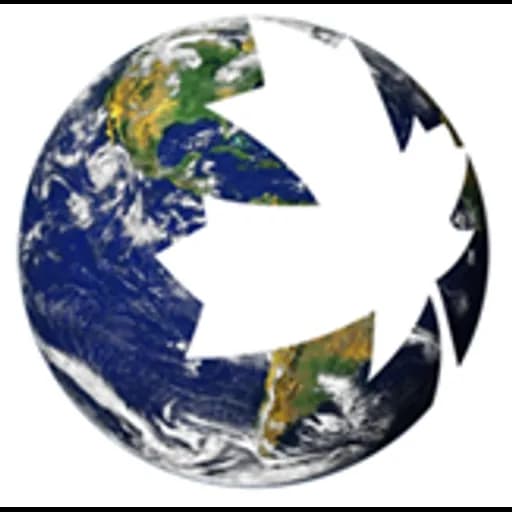 Shenzhen - CWS International Limited (Shenzhen, Head Office) logo