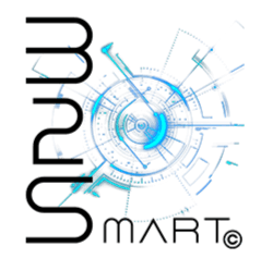 B2Smart logo