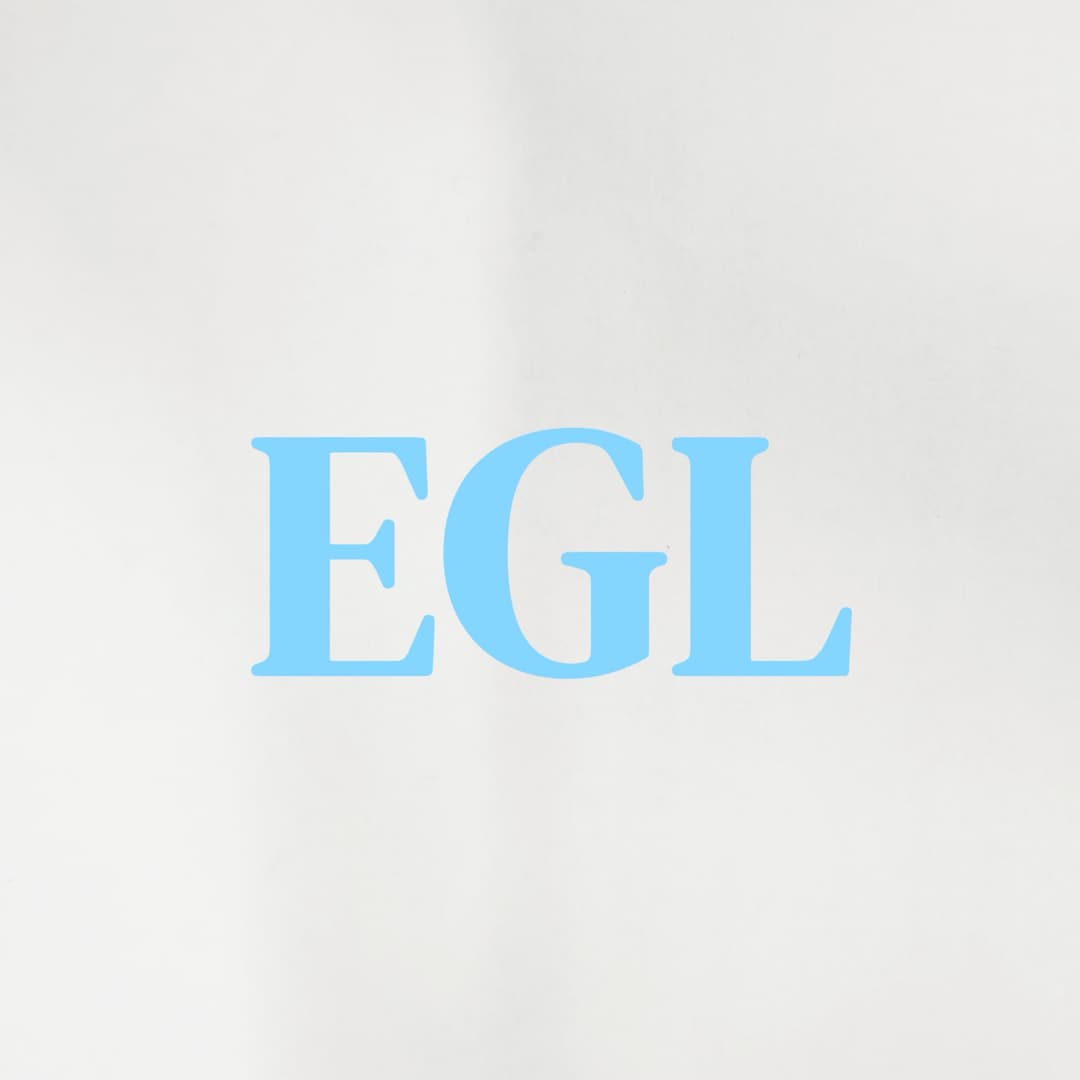 easyshipglobal logo