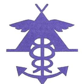 Axis Carriers logo